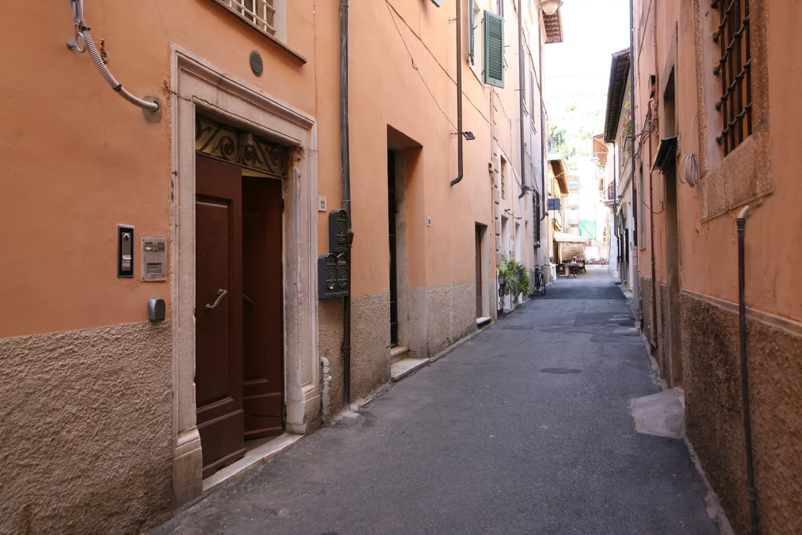 Musa, immagine 21